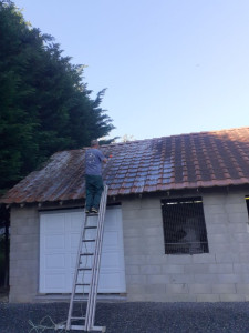 Photo de galerie - Traitement Anti-mousse 