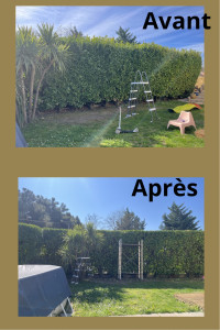 Photo de galerie - Taille de haies et d'arbustes