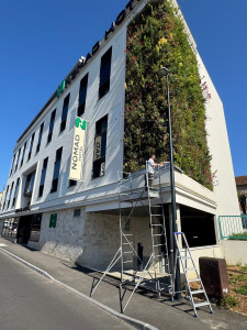 Photo de galerie - Ravalement des murs extérieurs 