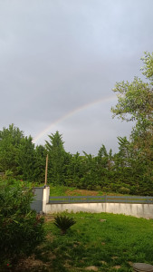 Photo de galerie - Selon besoin 