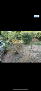 Photo de galerie - Tonte de pelouse - Débroussaillage