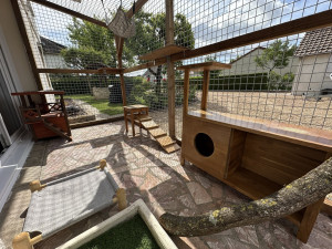 Photo de galerie - Catio extérieur
