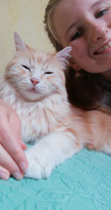 Photo de galerie - Miel le chat de ma sœur que j'ai gardé plusieurs fois