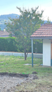Photo de galerie - Avant