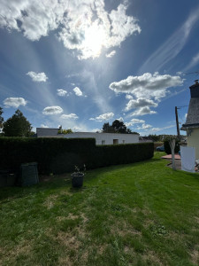 Photo de galerie - Taille de haies et d'arbustes