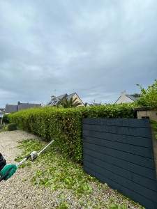 Photo de galerie - Taille d’une haie stricte au Guilvinec 