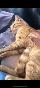 Photo de galerie - Elle est trop mimi 