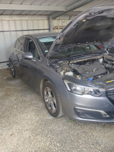 Photo de galerie - Peugeot 508 2017 2.0Hdi 150cv
Stage 1 + EGR off + Adblue Off + start and stop off
Gains : + 55 CV & 125 Nm