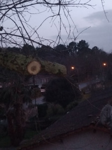 Photo de galerie - Intervention d'urgence suite vent et pluie violente 