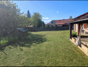 Photo de galerie - Tonte tout type de surface 
