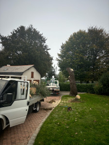 Photo de galerie - Abattages 