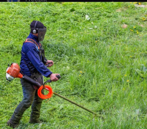 Photo de galerie - Espace vert en tout genre 