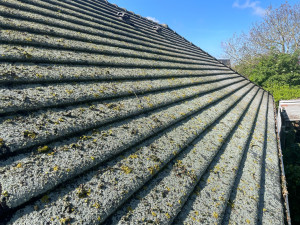 Photo de galerie - Démoussage toiture ( avant )