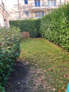 Photo de galerie - Mon jardin ? 