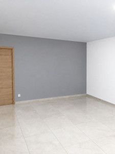 Photo de galerie - Peinture des murs d'un salon en deux couleurs 