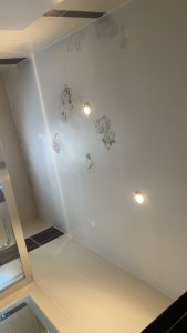 Photo de galerie - Reprise à l’enduit