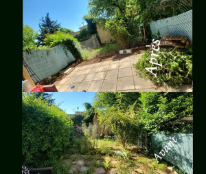 Photo de galerie - Tonte de pelouse - Débroussaillage