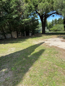 Photo de galerie - Tonte