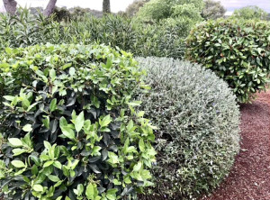 Photo de galerie - Jardinier