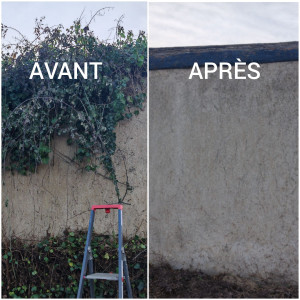 Photo de galerie - Éclaircissage d'un muret