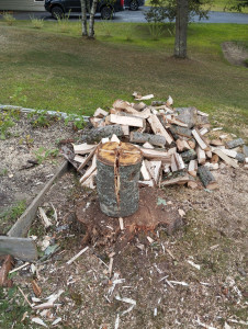 Photo de galerie - Préparation de bois de chauffage 