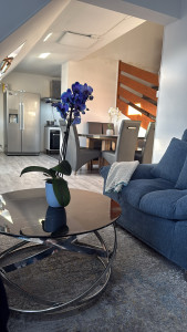 Photo de galerie - Ménage