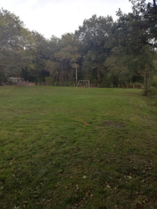 Photo de galerie - 2000 m2 de terrain, a la tondeuse debroussailleuse. 