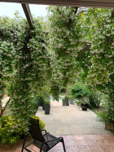 Photo de galerie - Création de jardin 