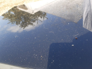 Photo de galerie - Ménage