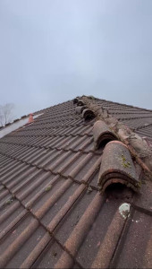 Photo de galerie - Couverture - Toiture