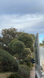 Photo de galerie - Jardinier