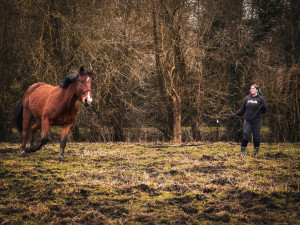 Photo de galerie - Dressage