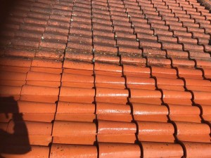 Photo de galerie - Couverture - Toiture