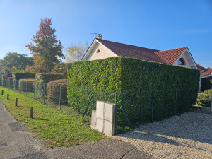 Photo de galerie - Taille de haie 