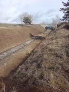Photo de galerie - Tonte de pelouse - Débroussaillage