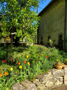 Photo de galerie - Photo prise récemment après tonte et désherbage 