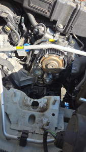 Photo de galerie - Distribution fiat panda 3 1l2 69ch 