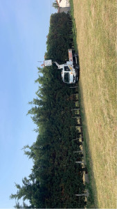 Photo de galerie - Paysagiste - Aménagement du jardin