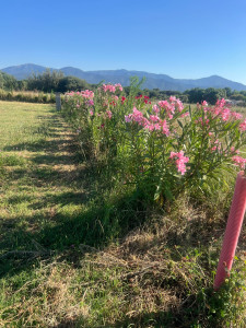Photo de galerie - Jardinier