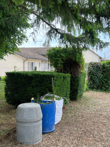 Photo de galerie - Taille Haie 