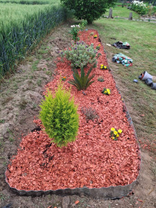Photo de galerie - Création par terre de fleurs et d’arbustes.