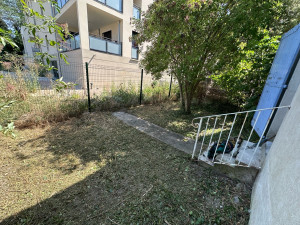 Photo de galerie - Débroussaillage d’un terrain à l’abandon 