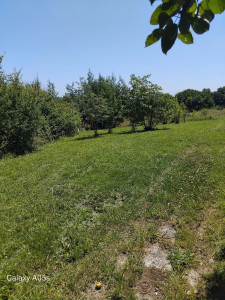 Photo de galerie - Après 