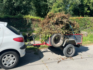 Photo de galerie - évacuation déchet vert après taille