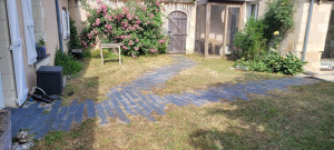 Photo de galerie - Tonte de pelouse 