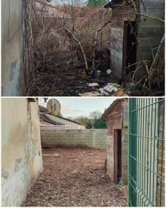 Photo de galerie - Débroussaillage et enlèvement de déchets dans un jardin à l'abandon 