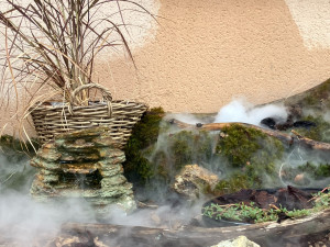 Photo de galerie - Thème choisi :    Forêt de Fontainebleau 