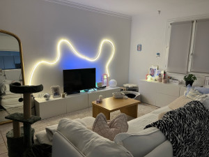 Photo de galerie - Salon nettoyer et décorer par mes soins 