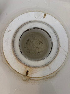Photo de galerie - Nettoyage douche 
