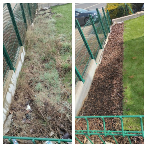 Photo de galerie - Nettoyage de terrain plus précisément arrachage de mauvaise herbes.
